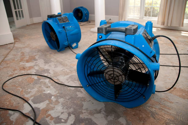 Best Emergency water extraction  in Agua Dulce, CA