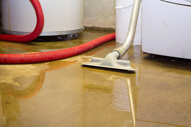 Best Local water damage restoration  in Agua Dulce, CA