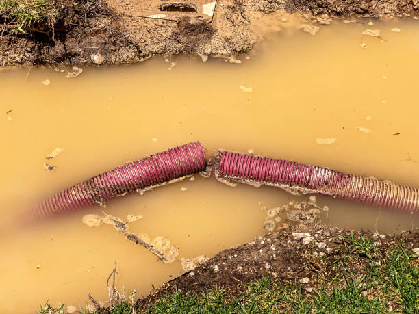 Best 24/7 water damage repair  in Agua Dulce, CA
