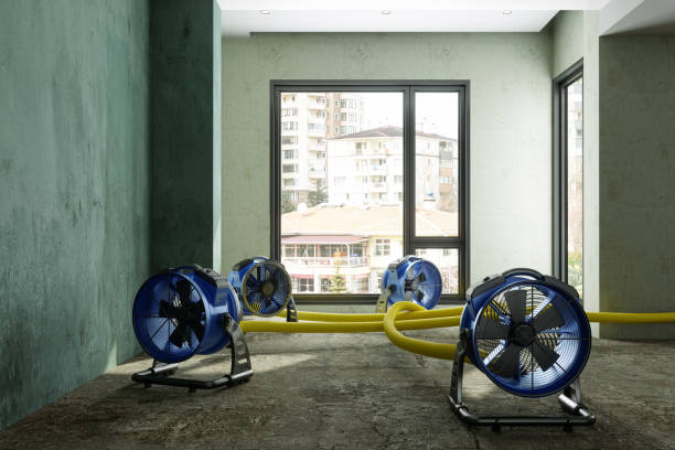 Best Emergency water damage restoration  in Agua Dulce, CA