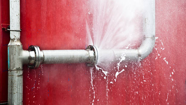 Best Water damage restoration near me  in Agua Dulce, CA